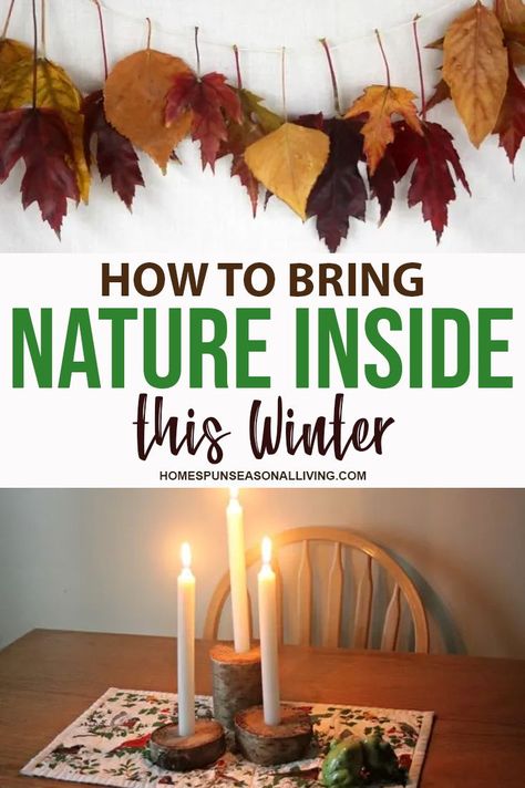 Winter Nature Decor, Using Nature To Decorate, Bringing Nature Into Your Home, Decorating With Nature Elements, Waldorf Home Decor, Decorate With Nature, Natural Winter Decor, Diy Woodland Decor, Winter Nature Crafts