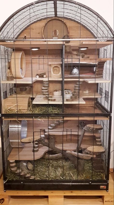 Chipmunk Cage Ideas, How To Make A Hamster Cage, Rat House Ideas, Pet Rat Enclosures, Hamster Home Diy, Cute Chinchilla Cage Ideas, Pet Squirrel Cage Ideas, Degu Cage Ideas, Critter Nation Cage Ideas