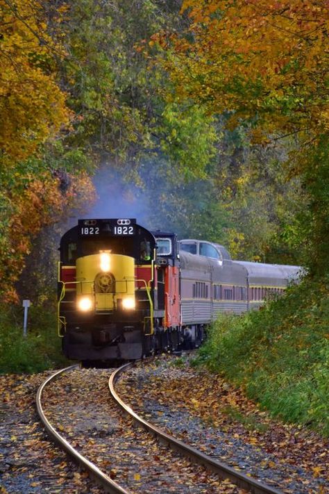 Cuyahoga Valley Scenic Railroad - Fall Foliage Train Rides Ohio Bucket List Template, Scenic Train Rides, Scenic Railroads, Train Route, Train Art, Train Photography, Train Pictures, Train Journey, Autumn Scenery