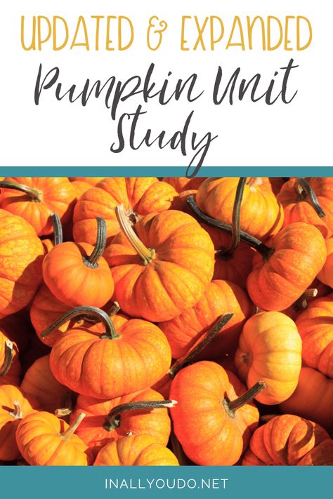 Updated & Expanded Pumpkin Unit Study - In All You Do Pumpkin Unit, Homeschool Freebies, Homeschool Encouragement, Unit Studies, Unit Study, Study Unit, Learning Resources, I Decided, Over The Years