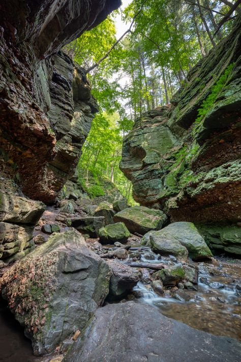 grey rock formation near trees photo – Free Nature Image on Unsplash Baraboo Wisconsin, Photography Bucket List, Free Nature, Adventure Inspiration, Flowing Water, Romantic Weekend, Photo Tree, Rock Formations, Nature Images