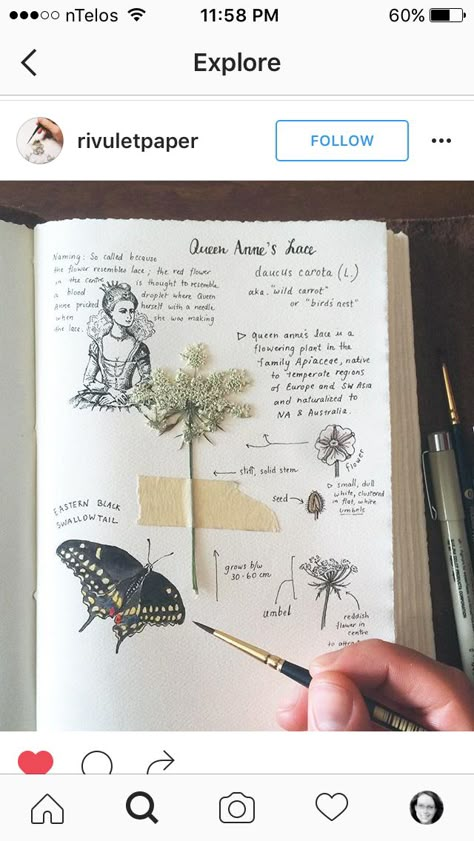 Plants Sketch, Plant Sketches, Botanical Sketchbook, Nature Journals, Field Journal, Nature Journaling, Plant Journal, Leather Bound Journal, Garden Journal