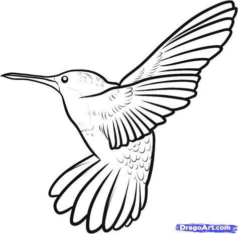 How to draw a ruby throated hummingbird - Hundreds of drawing tuts on this site Bird Outline Drawing, Animal Outline Drawing, Hummingbird Outline, Birds Outline, Embroidery Journaling, Hummingbird Graphic, Hummingbird Vector, Cartoon Drawing Images, Hummingbird Sketch