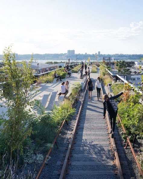 New York High Line, Park Lighting, Linear Park, Penn Station, Pedestrian Walkway, Urban Landscape Design, City Planner, Urban Nature, Zaha Hadid Architects