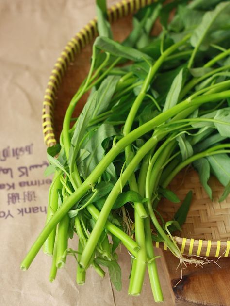 Kangkong (water spinach) via Season with Spice | "You are meandering with the river, strolling along its bank.  A gentle breeze lifts your spirits and sways the leaves of the kangkong plants that float peacefully at the river’s edge. A song of village life; of a river that flows calmly in its own wandering way; of a leafy plant that grows wild in the water, softly guided by the wind and by the current." - Folk song in Malaysia and Indonesia about the meaning of the vegetable kangkong Water Spinach Plant, Kangkong Plant, Kangkong Leaves, Kangkong Recipe, Food Menu Design Ideas, Chinese Spinach, Save Soil, Menu Design Ideas, City Scenery