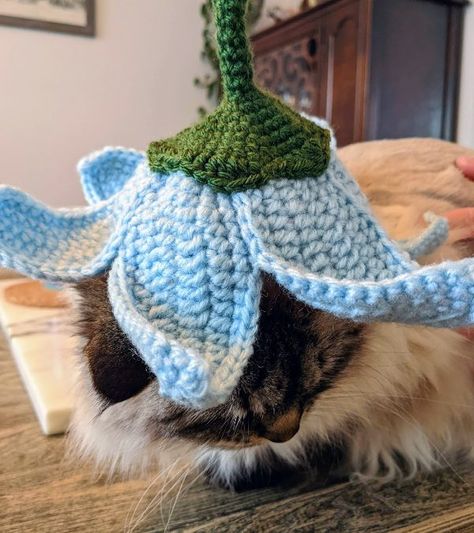 Crochet Flower Hat for your Pet(s) Pattern - Sir Purl Grey Flower Cat Hat Crochet Pattern Free, Cat Hat Pattern, Crochet Dog Hat, Cat Hats, Crochet Flower Hat, Crochet Cat Hat, Crochet Fairy, Hat Patterns Free, Animal Crochet