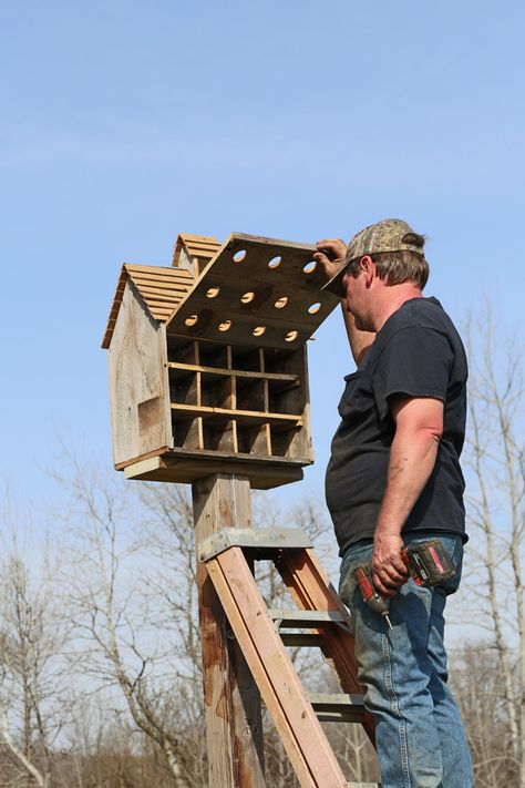 PinterestTwitterFacebook Boy have we been taking advantage of the nice warm days here. Hubby was kind enough to put up my Purple Martin house this week. Look at all those rooms in that mansion. I’ve wanted one for quite some time but didn’t want to pay the price. Have you looked lately, a decent size... Purple Martin House Plans, Purple Martin Birdhouse, Martin Bird House, Martin Bird, Purple Martin House, Homemade Bird Houses, Purple Martin, Open Sesame, Bird Houses Ideas Diy