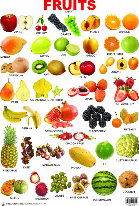 Fruits Name In English, Vegetable Chart, Fruit Names, Fruit List, Food Vocabulary, Learning English For Kids, Kids English, English Vocab, Makanan Diet