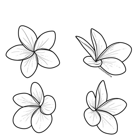 STEP BY STEP PLUMERIA - 4 WAYS I hope you had a great weekend! | Instagram Plumeria Line Art, Flower Tattoos Stencil, Plumeria Drawing, Tattoo For Sister, Pua Flower, Plumeria Flower Tattoos, Frangipani Tattoo, Tree Frog Tattoos, Flower Draw