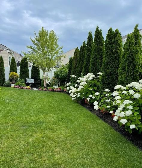 15 Tranquil Landscaping Ideas to Transform Your Outdoor Space Lawn Scaping Ideas, Hoa Approved Garden, Landscaping Along Side Of House, Boxwood Landscaping Front Yard, Neighborhood Landscaping, Privacy Landscaping Between Houses, Fence Line Landscaping, Patio Grande, Side Yard Landscaping