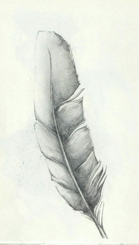 Eagle Feather Tattoos, Feather Sketch, Feather Mandala, Tattoo Feather, Feather Drawing, Watercolor Feather, Art Drawings Sketches Pencil, Feather Painting, Feather Art