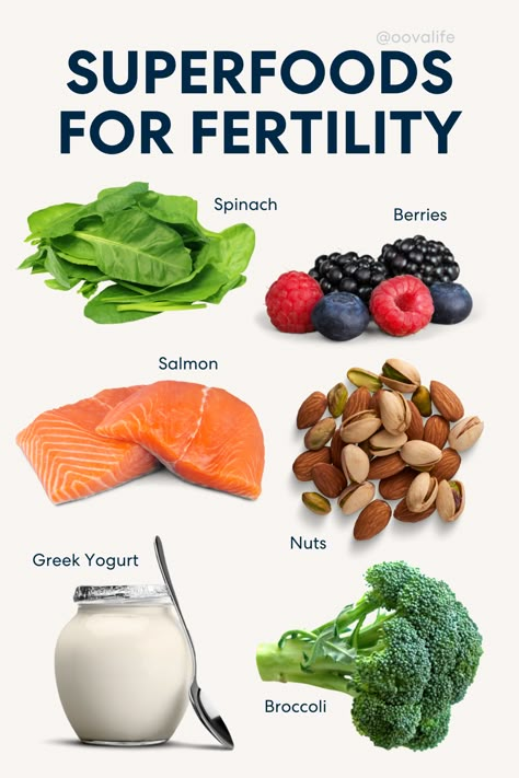 Superfoods for fertility Foods To Eat When Trying To Conceive, Foods To Help Fertility, Trying To Get Pregnant Diet, Fertility Food Recipes, Fertility Food, Vegan Fertility Recipes, Fertility Trying To Conceive Food, Foods For Fertility Trying To Conceive, Fertility Foods Trying To Conceive