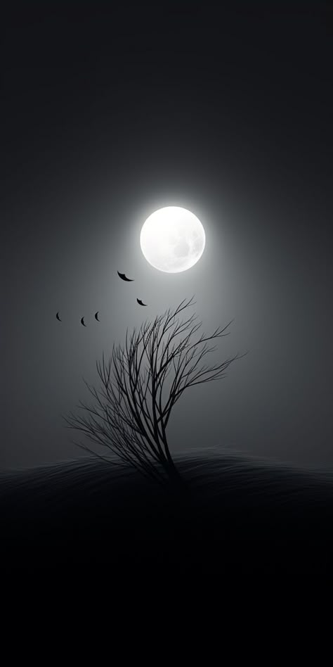 Aesthetic Moon Wallpaper Dark, Background Moon Aesthetic, Night Scenery Aesthetic, Dark Landscape Photography, Black And White Iphone Wallpaper, Night Moon Aesthetic, White Iphone Wallpaper, Moon Black And White, Night Sky Background