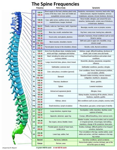 The Spine Frequencies | Healing codes, Spine health, Sound healing