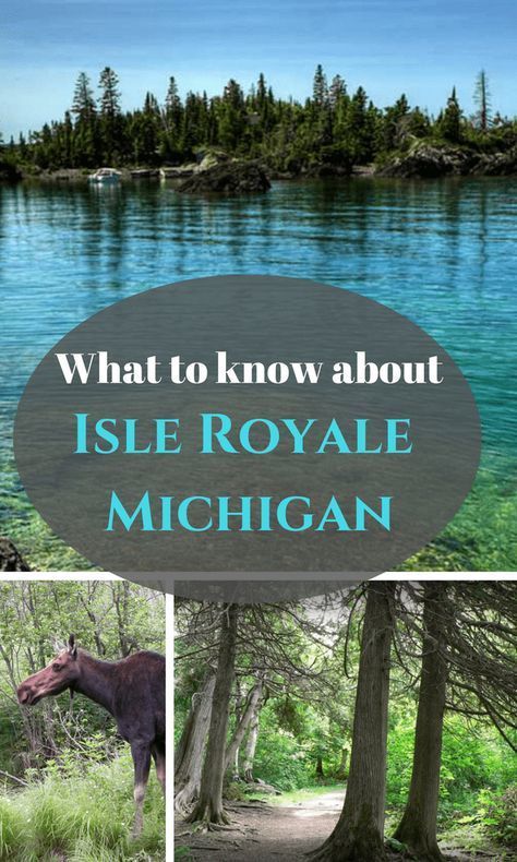 What to know about Isle Royale Michigan Michigan Beach Towns, Trip Goals, Michigan Adventures, Isle Royale, Travel Michigan, Michigan Road Trip, Isle Royale National Park, Michigan Summer, Michigan Vacations