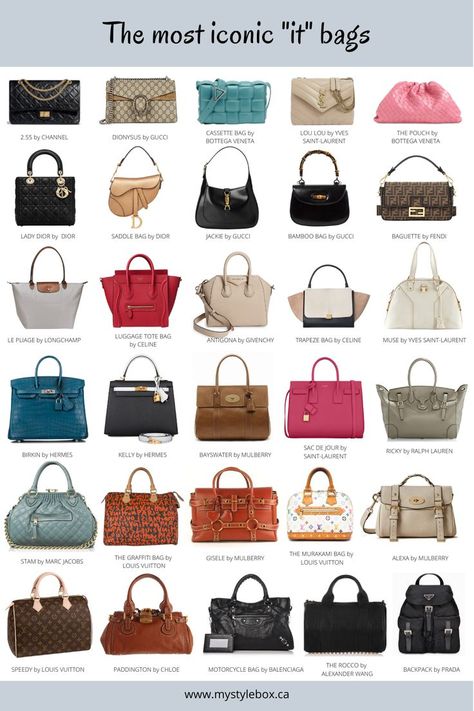 The most iconic IT bag Types Of Handbags, Luxury Bags Collection, Fashion Vocabulary, Stylish Purse, Stylish Handbags, Classic Handbags, Luxury Purses, Fancy Bags, Iconic Bags