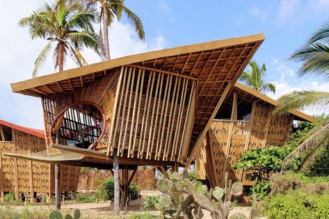 Turtle Sanctuary, Bamboo Building, Bamboo House Design, Facade Panel, Bamboo Structure, Bamboo Architecture, Bamboo House, Mexico Resorts, Resort Design