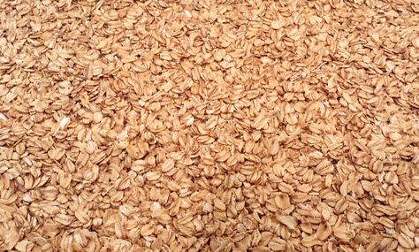 Toasting Oats Guide - Five Blades Brewing Roasted Oats Recipe, Toasted Oats Recipe, Roasted Oats, Old Fashion Oats, Toasted Oats, Homebrew Recipes, How To Roast, Oats Recipes, Home Brewing