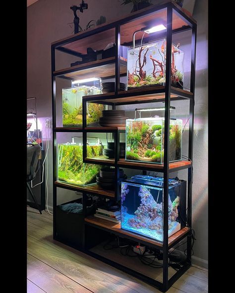 Animal Tank Ideas, Fish Tank Bookcase, Built In Fish Tank Ideas, Diy Aquascape Aquarium, Fish Tank Apartment, Fish Tank Diy Ideas, Desk Fish Tank Ideas, Terrarium Interior Design, Fish Display Ideas