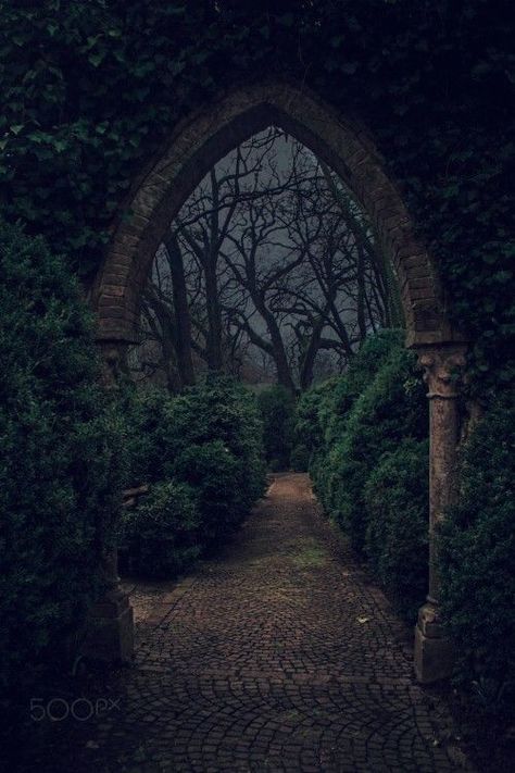 Forest Royal Aesthetic, Moody Fairytale Aesthetic, Victorian Garden Aesthetic Dark, Vampire Garden Aesthetic, Midnight Forest Aesthetic, Hedge Maze Aesthetic Dark, Castle Garden Night, Grimms Fairy Tales Aesthetic, Enchanted Castle Aesthetic