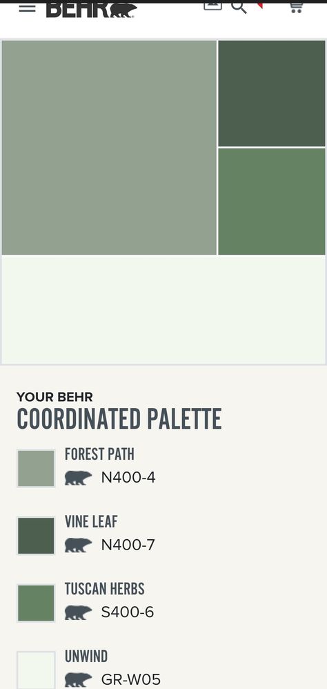 Behr Vine Leaf Paint, Behr Vine Leaf, Leaf Color Palette, Green Swatches, Accent Wall Paint, Behr Paint, Boho Country, The Home Edit, Vine Leaves