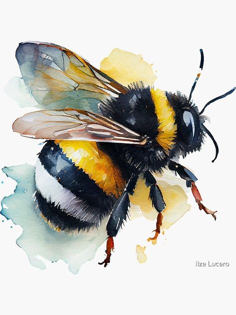 Bumblebee Clipart, Bumble Bee Clipart, Bumble Bee Art, Bee Artwork, Bee Drawing, Bee Pictures, Bee Clipart, Bee Painting, Cute Watercolor