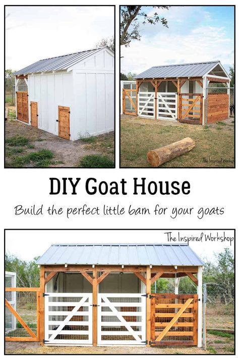 Diy Goat House, Goat Pens, Goat Pen Ideas, Goat Fencing, Goat Feeders, Milking Goats, Goat Fence, Goat Feeder, Milk Goats