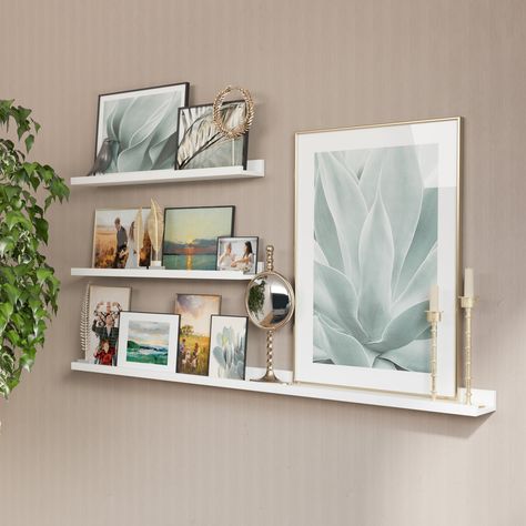 Picture frame shelves