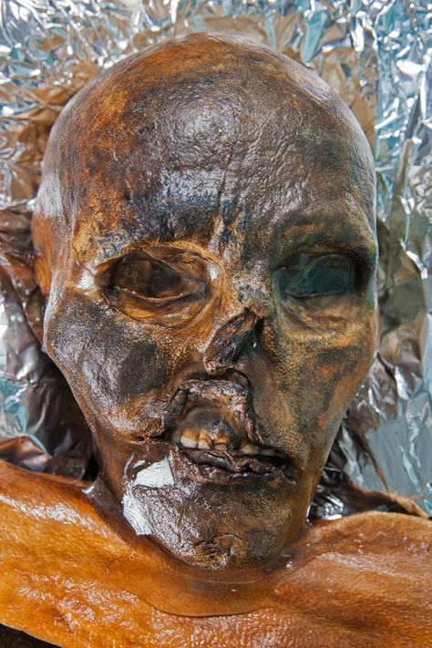 Otzi The Iceman, Natural Geographic, Ötzi The Iceman, The Iceman, History Magazine, Medieval History, The Alps, Sea World, Anthropology