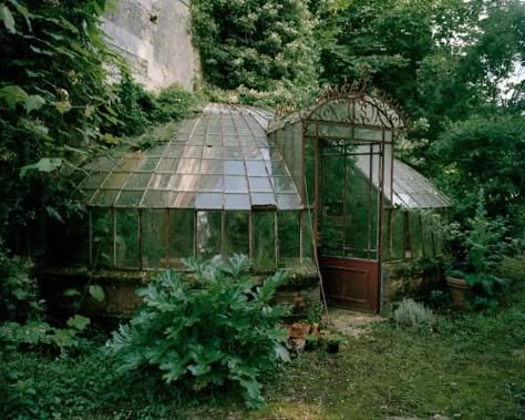 Greenhouse Conservatory, Conservatory Greenhouse, Bohemian Garden, Glass Houses, Green Houses, Bohemian House, Potting Sheds, Garden Greenhouse, Have Inspiration