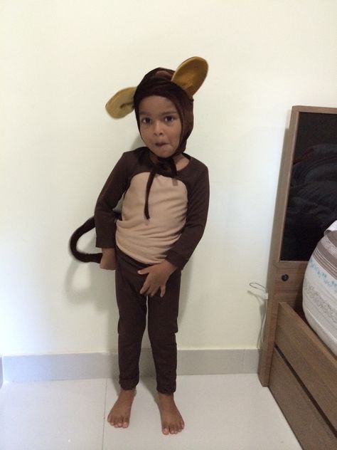 Monkey Costume Kids, Monkey Costume Diy, Kids Monkey Costume, Fancy Dress Diy, Monkey Costume, Monkey Costumes, A Monkey, Casual Day Outfits, Baboon