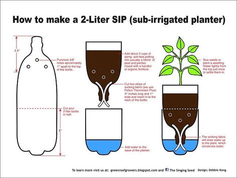 containers for plants | Here's how to set up your Self Watering plastic bottles! Your kids can ... Plantarea Legumelor, Unusual Planter, نباتات منزلية, Self Watering Planter, Self Watering, Garden Stuff, Garden Tips, Growing Plants, Permaculture