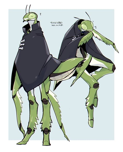 #120145 - safe, artist:sannota272, arthropod, insect, praying mantis, anthro, ambiguous gender, antennae, cloak, solo - Furbooru Clothes Digital Art, Bug People, Bug Art, Alien Concept Art, Praying Mantis, Fantasy Creatures Art, Art Green, Monster Design, Creature Concept Art