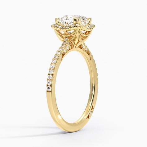 Tacori Rings, Cathedral Ring, Tacori Engagement Rings, Romantic Rings, Yellow Gold Setting, White Gold Diamond Rings, Yellow Gold Engagement Rings, Gold Diamond Rings, Diamond Halo