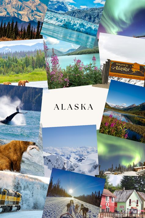 This state has it all, from breathtaking mountains and endless outdoor activities to a diverse culture and strong community ties. Dive in as I share my experience of relocating to Alaska and why it was the best decision my family and I ever made to live a life of adventure. Alaska Aesthetic Summer, Places To Travel In Canada, Alaska Activities, Alaska Aesthetic, Alaska Living, Alaska Travel Cruise, 50 States Travel, Usa Culture, Alaska Cruise Tips