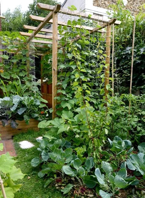 Vegetable Garden Planning, Potager Garden, Garden Veggies, Side Garden, Veg Garden, Home Vegetable Garden, Love Garden, Garden Cottage, Garden Trellis