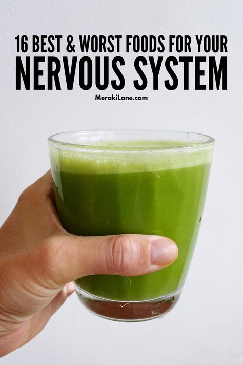 16 Best and Worst Foods for Your Nervous System Foods To Support Nervous System, Healthy Food For Nerves, Nervous System Diet, Nervous System Reset, How To Calm Your Nervous System, Somatic Stretching, Nerve Regeneration, Summer Reset, Nerve Pain Remedies