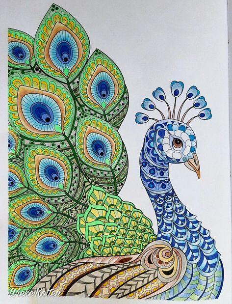 Doodle Art Peacock, Peacock Mandala Drawing, Mandala Bird Drawing, Peacock Design Drawing, Mandala Art Of Peacock, Drawings Of Peacocks, Drawing Of A Peacock, Peacock Mandala Art Colorful, Peacock Doodle Art