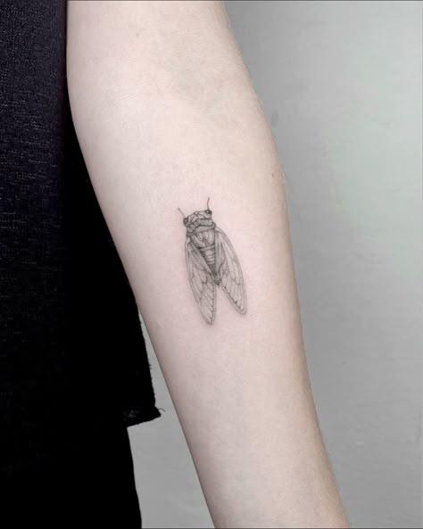 Cicada Tattoo Meaning, Small Cicada Tattoo, Simple Cicada Tattoo, Florence Tattoo, Bird Cage Tattoo, Cicada Tattoo, Birdcage Tattoo, Brothers Tattoo, Ab Tattoo