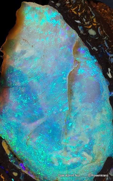 opal Opal Aesthetic, Koroit Opal, Rock Minerals, Pretty Rocks, Cool Rocks, Rocks Crystals, Beautiful Rocks, Beautiful Stones, Gemstones Crystals