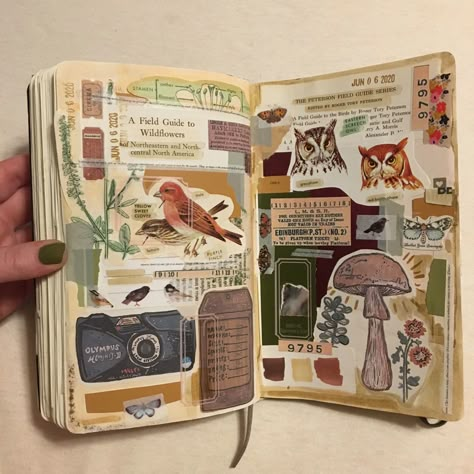 Junk Sketchbook Ideas, Scrapbook Ideas Nature, Nature Journal Aesthetic, Nature Scrapbook Ideas, Junk Journal Layout Ideas, Vintage Junk Journal Pages Ideas Layout, Journal Layout Aesthetic, Goblincore Journal, Journal Ideas Nature