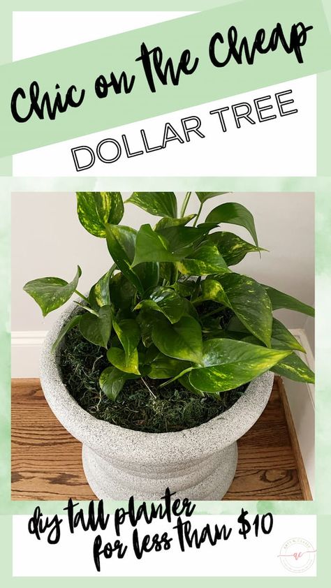 If you're looking for a cheap way to pep up your home or garden, look no further! You can make a stylish, durable, and long-lasting tall planter for under an hour with just a few basic tools and supplies from Dollar Tree. No power tools are required for this project, and all the tips, tricks, and techniques you need to make a cheap DIY tall planter will be revealed in this easy-to-follow DIY tutorial. How To Make Tall Planters, Diy Large Fake Plant, Dollar Tree Diy Planter, Diy Tall Planters Indoor, Diy Front Porch Planters, Diy Tall Planters Outdoor Cheap, Dollar Tree Garden Hacks, Diy Large Planters Outdoor Cheap, Diy Large Planters Outdoor