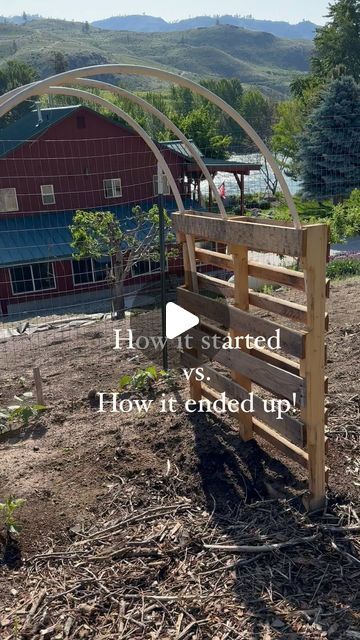 447K views · 15K likes | Dan & Andrea on Instagram: "I have lot's of garden ideas, and this one was one of my favorites!  What you'll need:  ✔️ Pallets ✔️ PVC pipes  ✔️ Dirt  I simply buried the pallets and bent the pipes through them. As the pipes expand within the pallets, it puts tension and holds these in place. Nothing more is needed other than a second set of hands to help the hold pallets while inserting pipes.   So simple, cheap & easy! 👏🏻  #diy #gardeninspiration #gardeningideas #diygarden #grow #farmlife #growwhereyouareplanted #goals #pallet #palletideas" Pallet Polytunnel, Using Pallets For Gardening, Greenhouse Diy Cheap, Pallet Archway, Pallet Greenhouse Diy, Pallets For Gardening, Allotment Ideas Budget, Pallet Garden Fence, Polytunnel Gardening