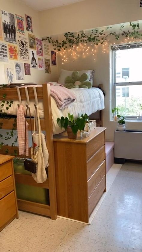 cozy dorm room  aesthetic cozy dorm room  aesthetic vintage cozy dorm room  aesthetic green cozy dorm room  aesthetic pink cozy dorm room  aesthetic blue cozy dorm room  aesthetic black Dorm Room Aesthetic Green, Pink And Green Dorm Room Ideas, College Dorm Room Ideas Green, Green College Dorm Room Ideas, Green And Pink Dorm Room, Green Dorm Room Aesthetic, College Dorm Room Ideas Cozy, Dorm Room Aesthetic Pink, Cozy Dorm Room Aesthetic