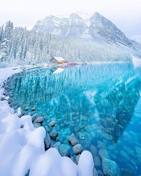 Nature is indifferent to our love, but never unfaithful. - Edward Abbey Lake Agnes Tea House, Lake Louise Canada, Lake Agnes, Banff National Park Canada, Canada Photos, Landscaping Images, Lake Louise, Canadian Rockies, Most Beautiful Cities