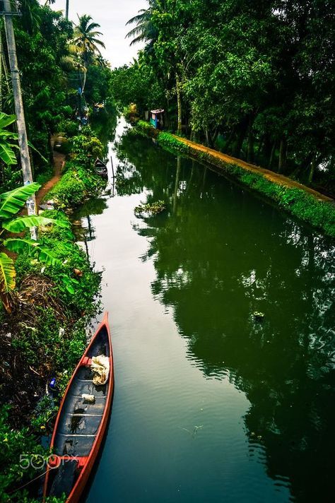 The Beauty of Kerala, Kerala Nature Photography Kerala Backwaters, Kerala Travel, Amazing India, God's Own Country, Kerala Tourism, Visit India, Travel India, Travel Culture, India India