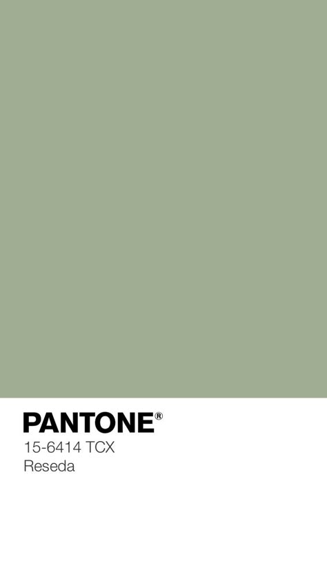 Unnoticeable Charm — Kid's Pattern Green Tones Palette, Shades Of Green Palette, Pantone Green Colors, Pantone Green Shades, Eucalyptus Color, Pantone Green, Green Pantone, Pantone Palette, Eucalyptus Green