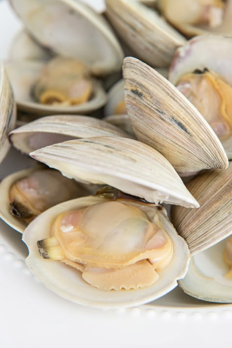 Clams On Grill, Cleaning Clams How To, Cooking Clams Recipes, How To Clean Clams Before Cooking, Clam Broth Recipes, Steam Clams Recipe, Manila Clams Recipe, How To Cook Clams In Shell, Mussels And Clams Recipe