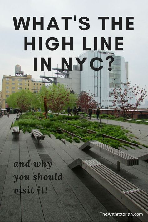 What's The High Line In New York City and Why Should You Visit It? High Line Park New York, The High Line Nyc, High Line New York, New York High Line, Upstate Ny Travel, The Highline, World Wonders, New York Architecture, Visit New York City