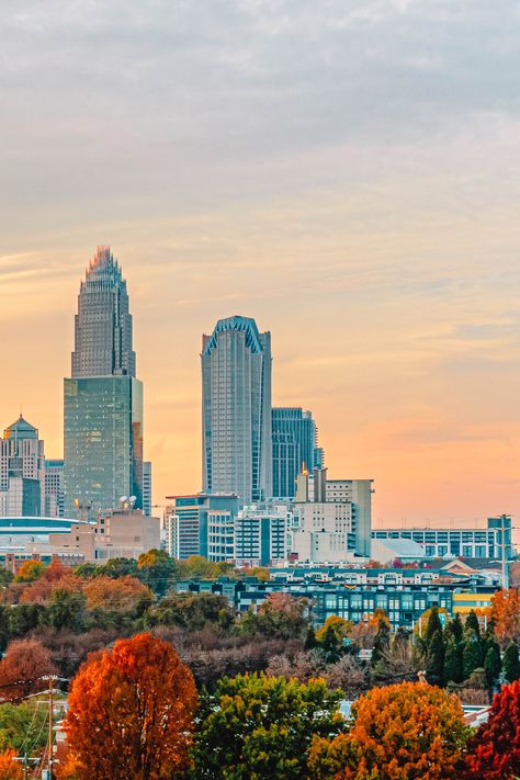 Charlotte North Carolina Aesthetic, Charlotte Nc Aesthetic, North Carolina Aesthetic, North Carolina Charlotte, Carolina Do Norte, North Carolina Art, North Carolina Vacations, North Carolina Travel, 2022 Vision Board